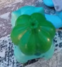 Anime Pokemon Bulbasaur with Clear Pokemon ball Open Box Figure 10cm 4inch Transparent Various colors Green (Authentic, Original, Genuine, Licensed, official)