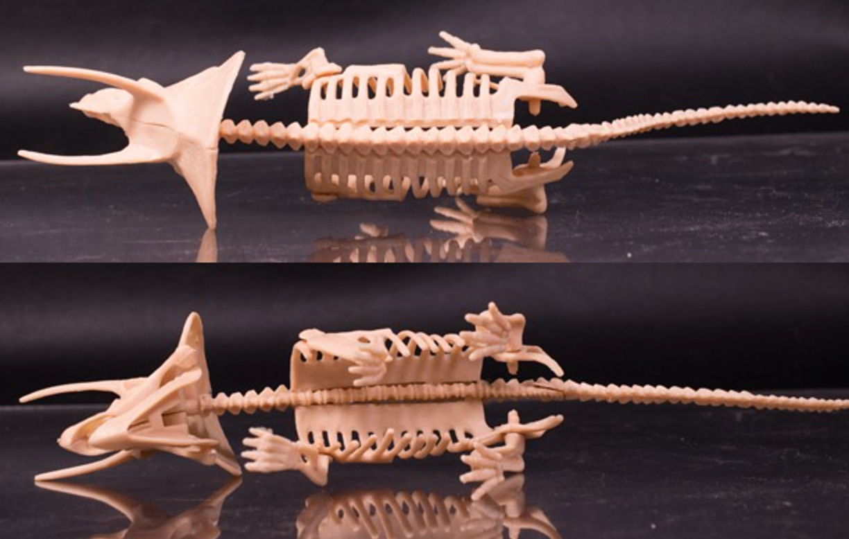 No Name Dinosaur Triceratops Bone Small Figure No box Middle Figure 8cm 3.5inch Beige (Authentic, Original, Genuine, Licensed, official)