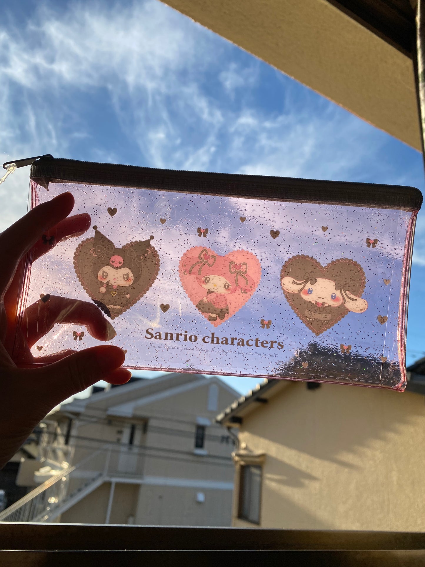 Sanrio Kuromi My Melody and Cinnamoroll Clear Pouch Purse 20cm 8inch Gray Pink (Authentic, Original, Genuine, Licensed, official) Vinyl Metal